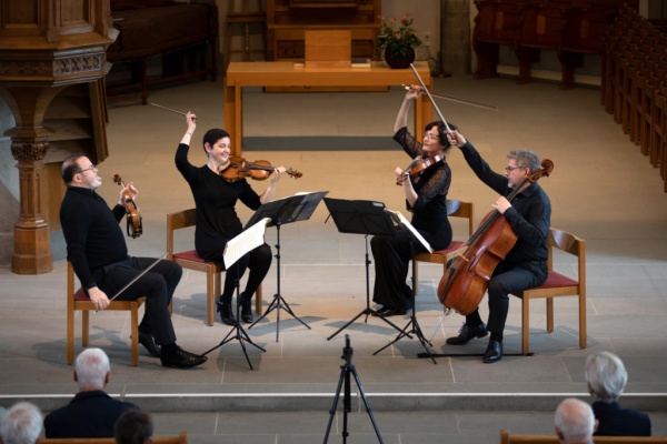 photo du concert à Meilen _ Terpsycordes